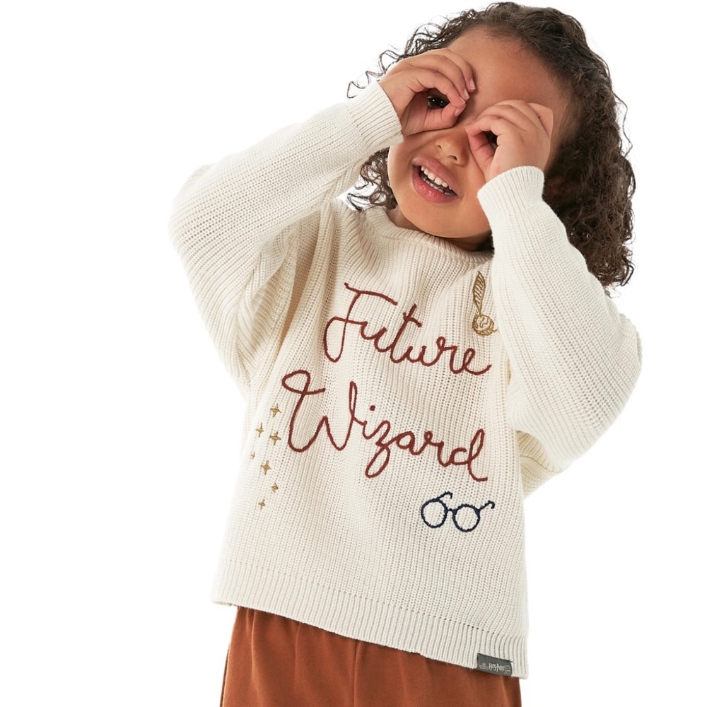 Harry Potter Future Wizard Unisex Sweater
